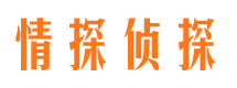 赞皇外遇出轨调查取证